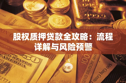 武汉股权质押贷款全攻略：流程详解与风险预警