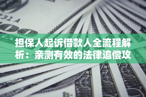 武汉担保人起诉借款人全流程解析：亲测有效的法律追偿攻略