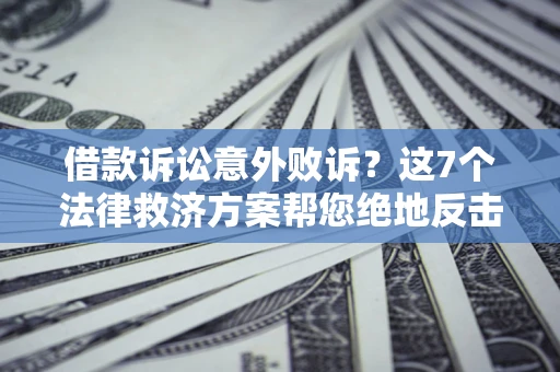 武汉借款诉讼意外败诉？这7个法律救济方案帮您绝地反击！