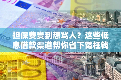 武汉担保费贵到想骂人？这些低息借款渠道帮你省下冤枉钱