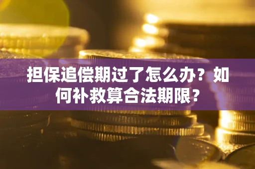 武汉担保追偿期过了怎么办？如何补救算合法期限？