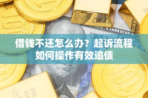 武汉借钱不还怎么办？起诉流程如何操作有效追债