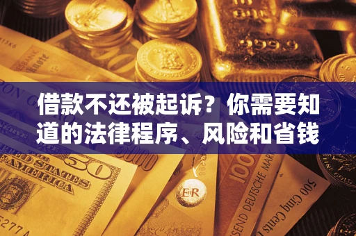 武汉借款不还被起诉？你需要知道的法律程序、风险和省钱技巧