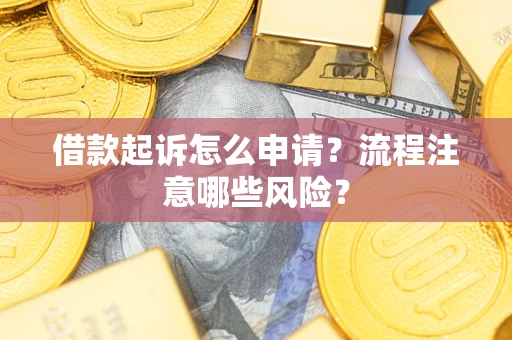 武汉借款起诉怎么申请？流程注意哪些风险？