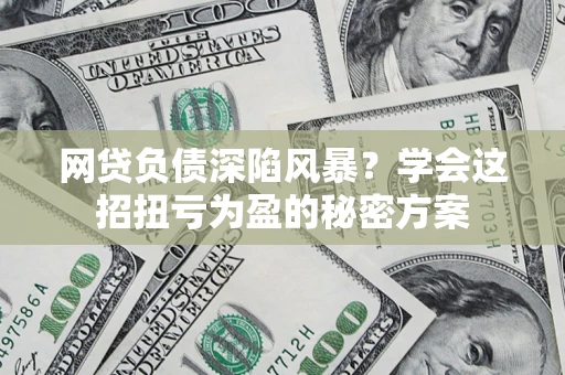 武汉网贷负债深陷风暴？学会这招扭亏为盈的秘密方案