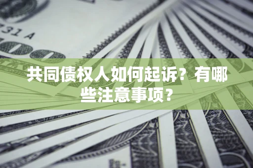 武汉共同债权人如何起诉？有哪些注意事项？